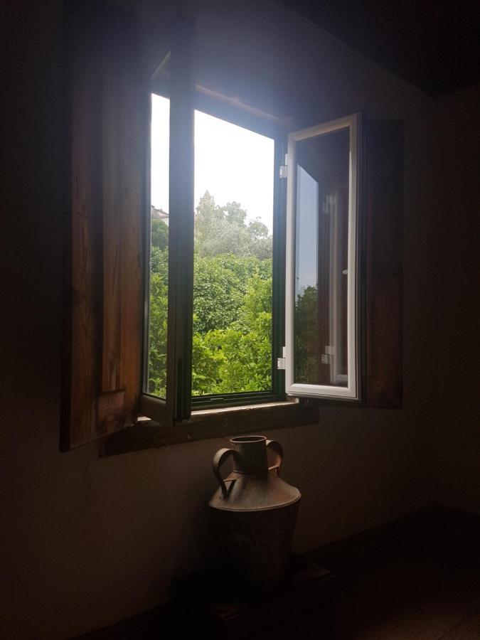 Casa Da Vila Penamacor Dış mekan fotoğraf